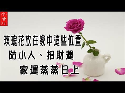 種玫瑰 風水|如何按照風水來擺設玫瑰？（特徵、方位、共同擺設的植物）